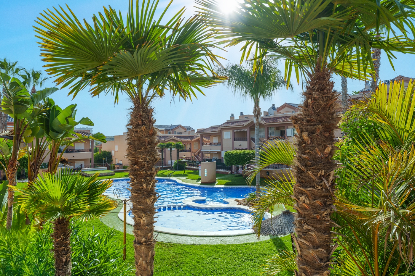 Palm trees and soft grass