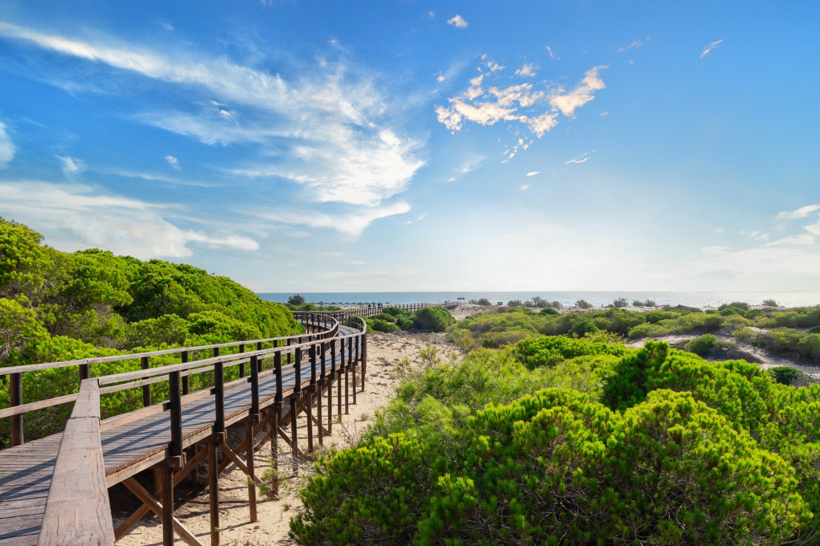 Road to Carabassi Beach